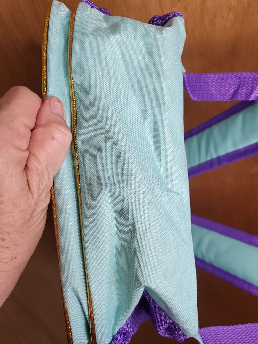 Disney Princess Jasmine Backpack in Teal, Gold and Purple - Picture 13 of 14